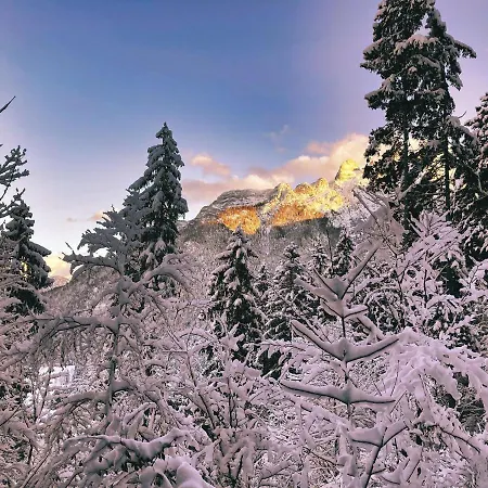 Steinplatte Apartment *