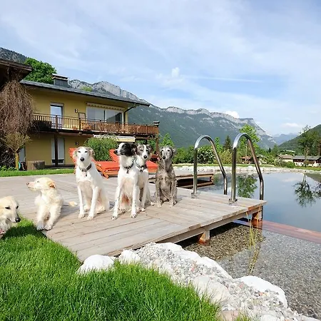 公寓 斯坦普拉提公寓 *