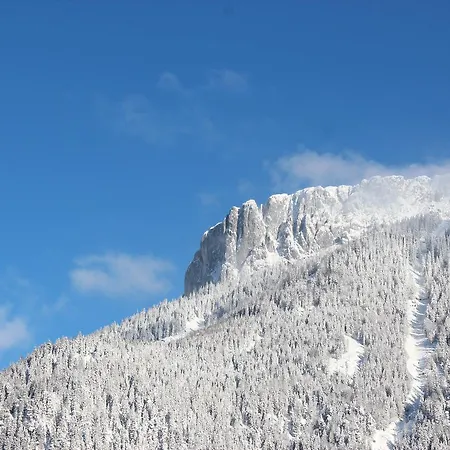 公寓 斯坦普拉提公寓 *