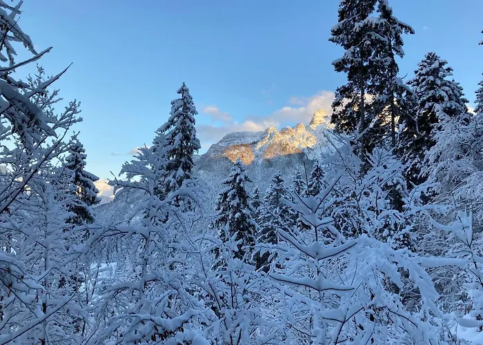 Lejlighed Steinplatte