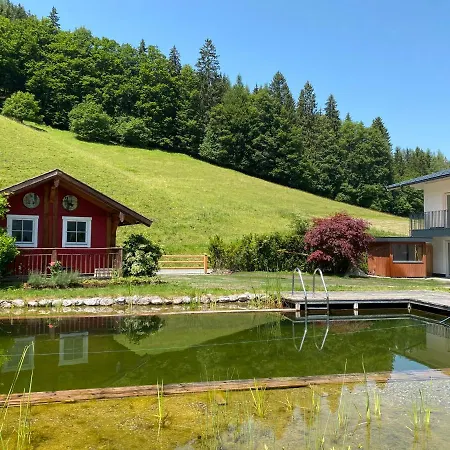 Steinplatte Appartement Waidring