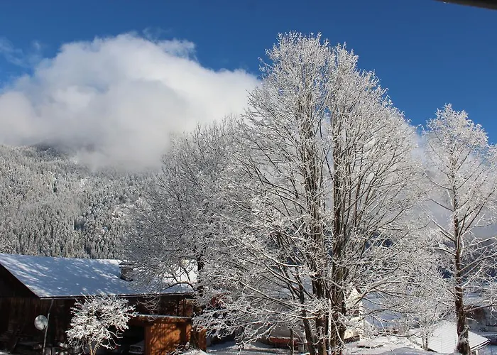 Steinplatte Apartamento *