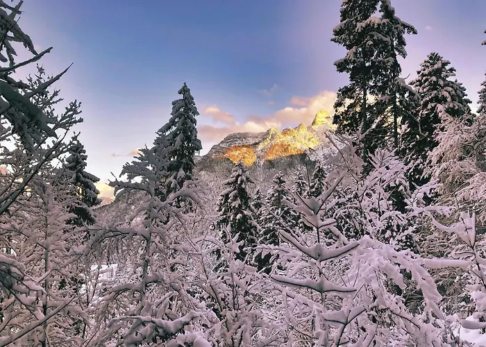 Steinplatte Apartamento *