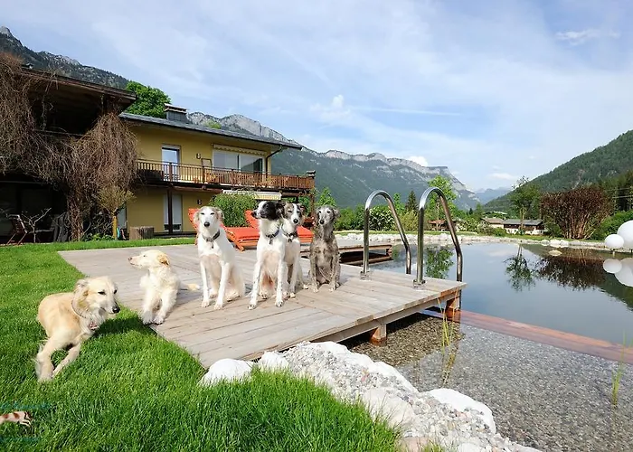 Apartamento Steinplatte *