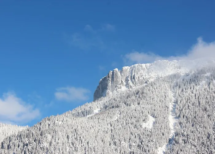 Apartamento Steinplatte *